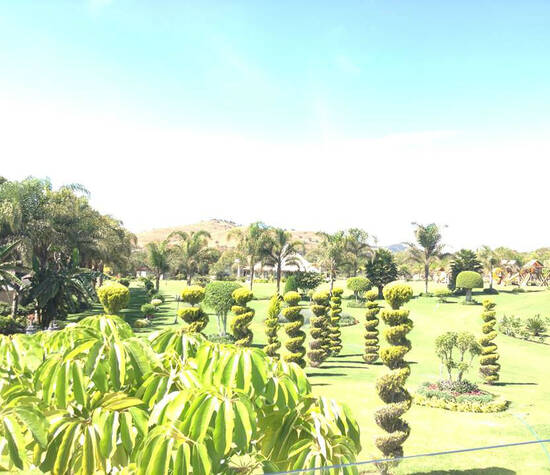 Jardín Bugambilia