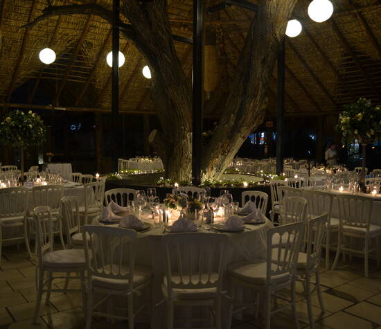 Romántica boda en tonos blancos y sillas versalles a la luz de las velas y enmarcado por un imponente mezquite natural.