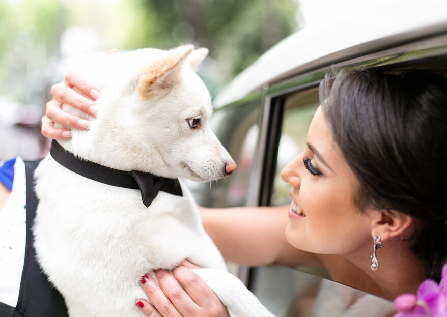 Cómo integrar a tus mascotas en el día de la boda: Entrevista a PicPet