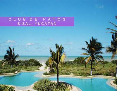 Hotel Club de Patos